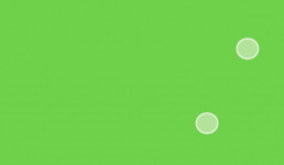 JDPAE2013_invitada_Desarrolla-Empresa-Constructora (1)_94270