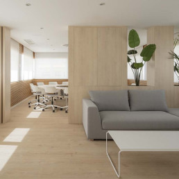 La madera juega un papel muy destacado en la obra del Colegio de Farmacéuticos de Lugo